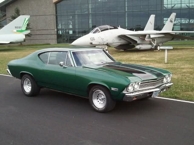 Dan in Montana tweet media