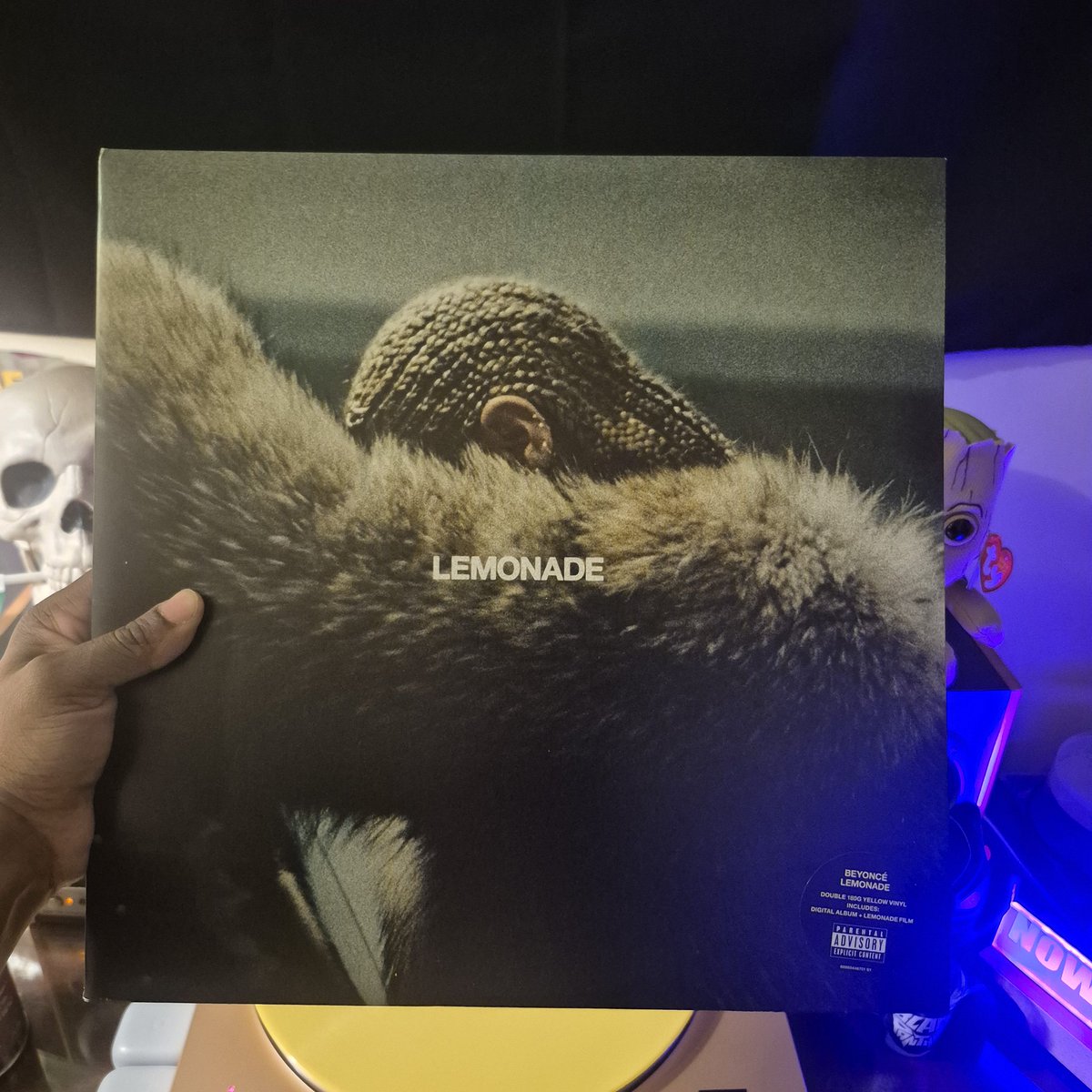 Vinyl Adventures BK🇵🇷🏳️‍🌈🏳️‍⚧️ tweet media