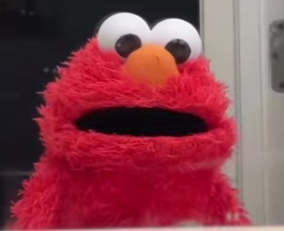 BlueWaveRyder🌊🌊🌊 tweet media