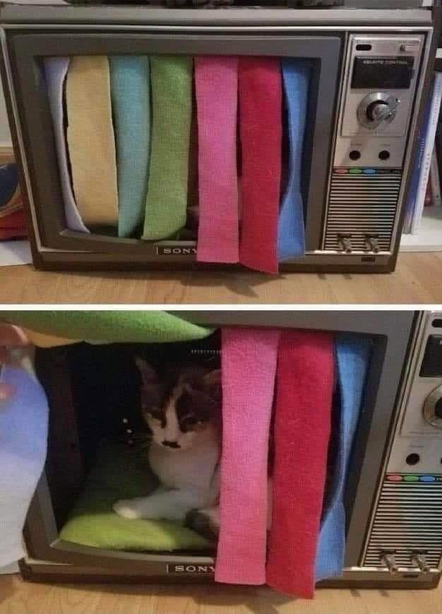 Computer ♥ Records tweet media