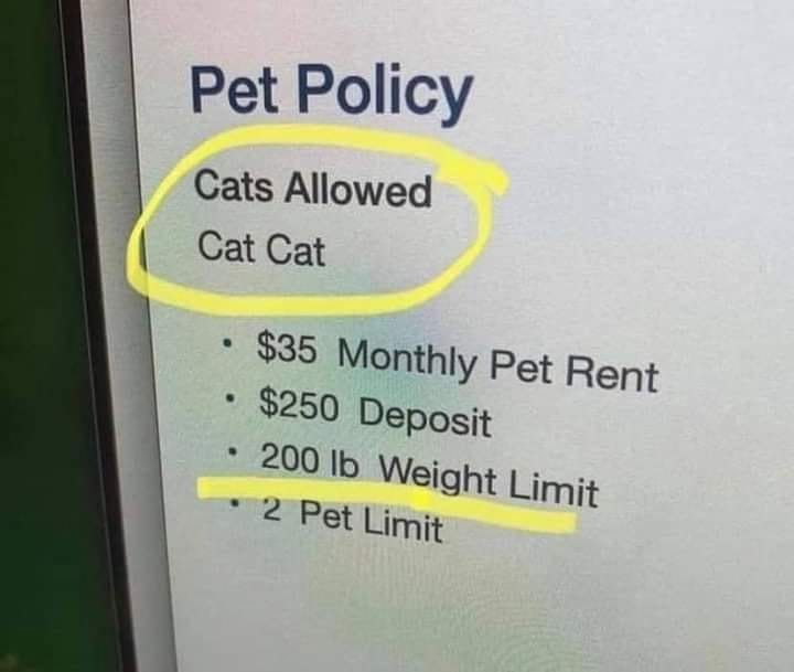 Spill The Memes tweet media