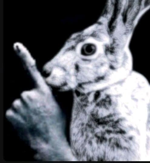 🌠Nexo-Black Ice🐺 tweet media