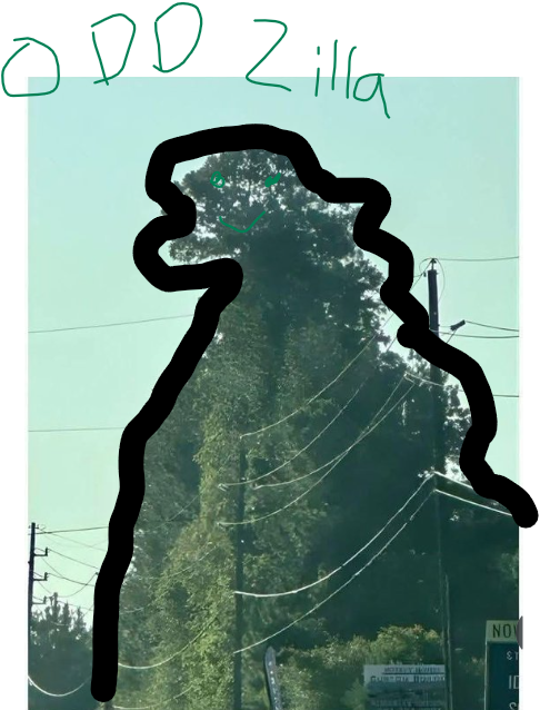 Rando MaxX tweet media