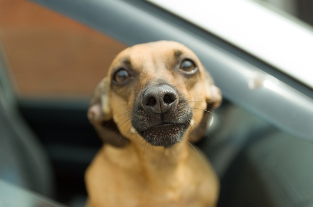 Carlos Bah tweet media