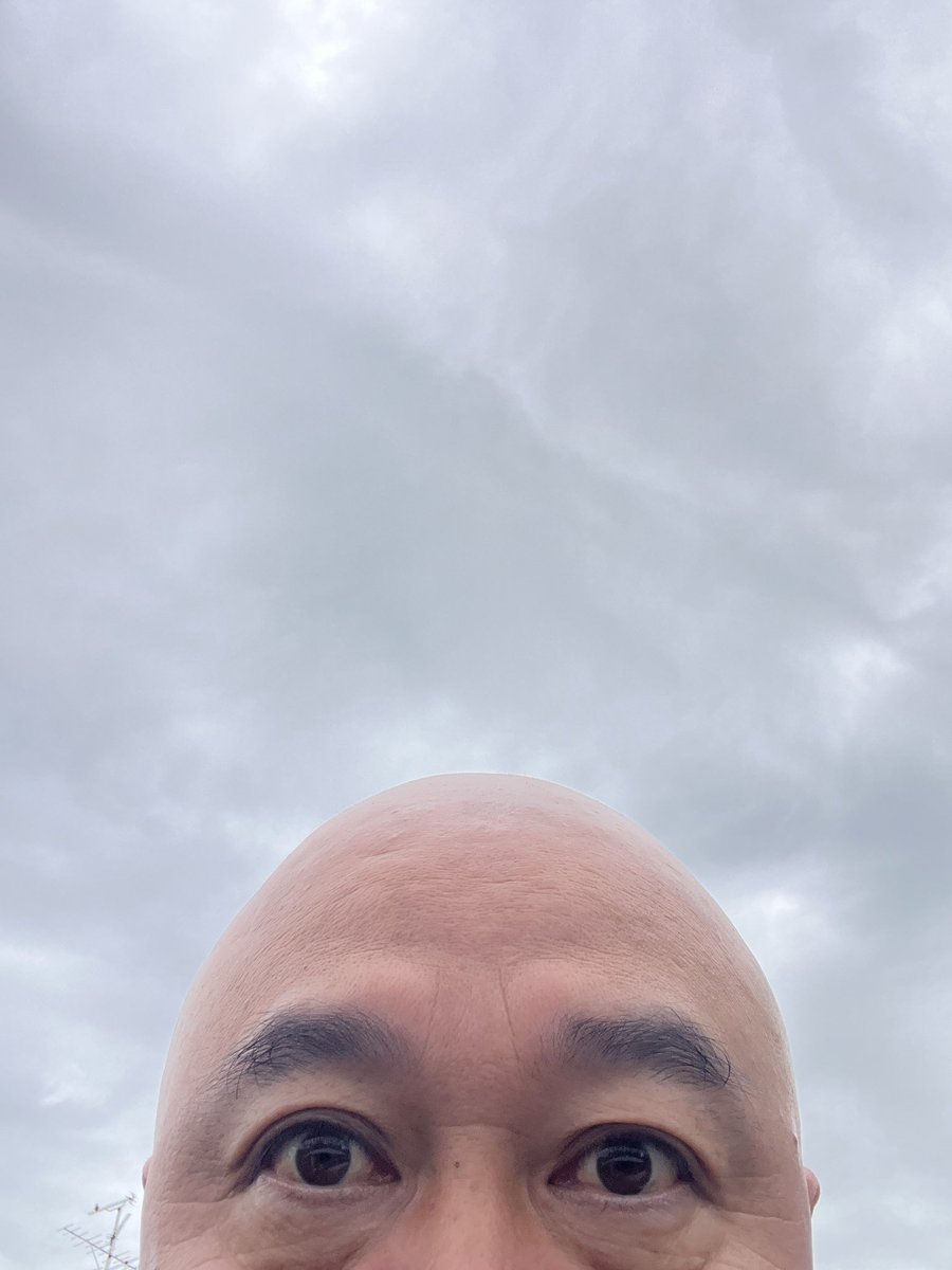 藤平@ペットの専門店コジマのツルピカドッグトレーナー 頭✨HEY‼️ tweet media