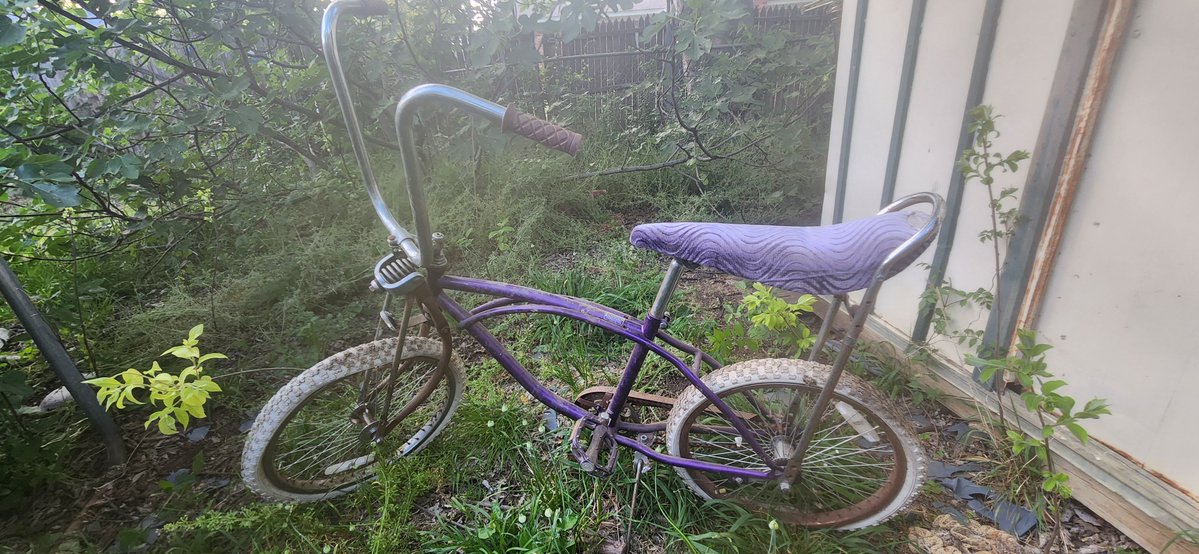 Scared Stoop Kid tweet media