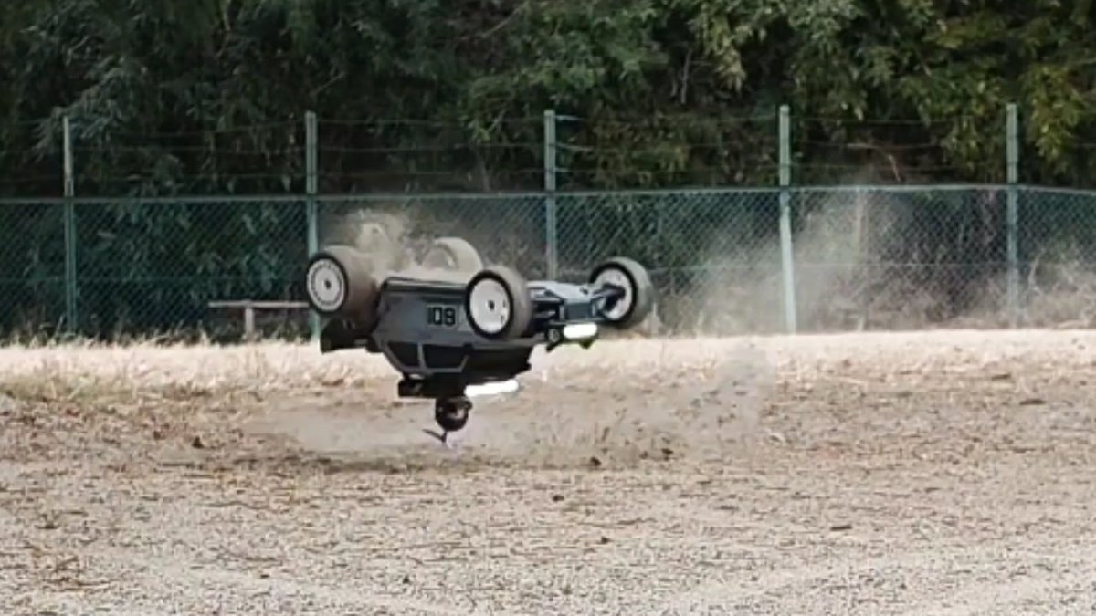 ワンダラー tweet media