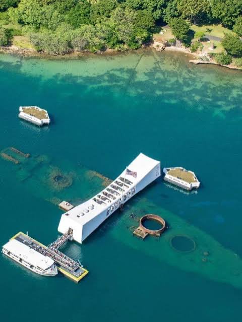 Steven Lee tweet media