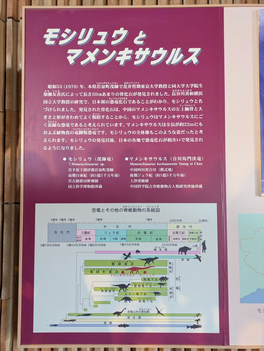 Iwahaku's tweet photo. 当館には、「日本で最初に見つかった恐竜の化石」について、その恐竜とマメンキサウルスとの関係について紹介する展示があります。いつの時代も、新たな発見のニュースには心が躍りますね。 https://t.co/CTSO0bNruI