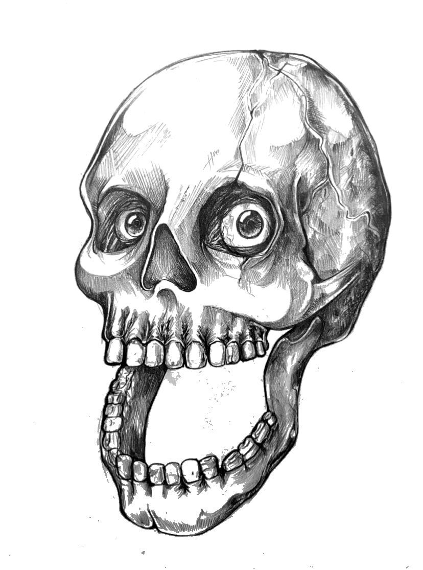 Mr. Makrut tweet media