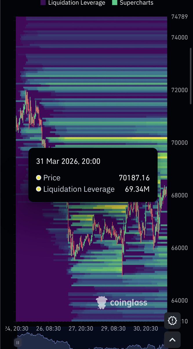 CD420🦁💨 tweet media