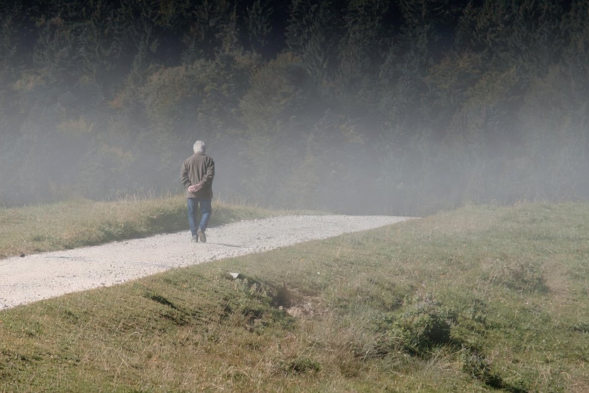 Guissepie tweet media