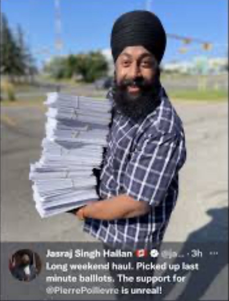 Poli Shore tweet media