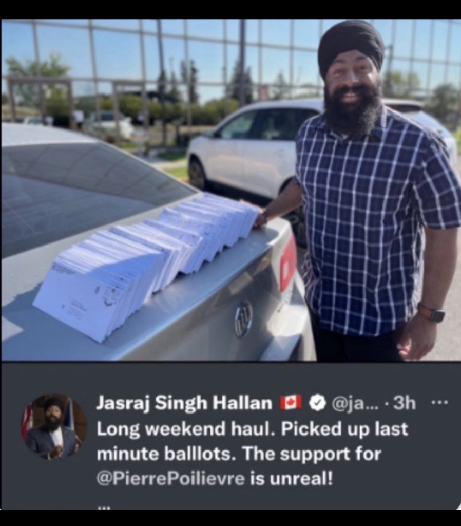 Poli Shore tweet media