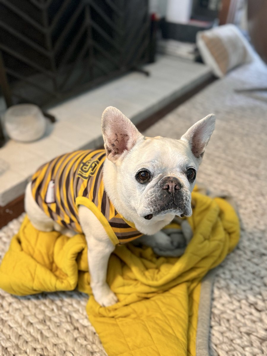 Game 5 of 162.  Let’s get those bats going!  Dog Day at the Park.  Sweet Piper says Go Padres! #PadresPets