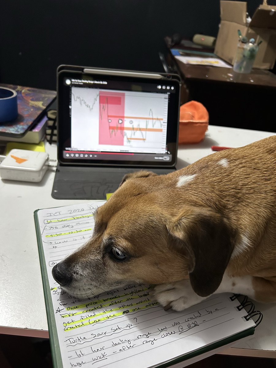 juantickaway's tweet photo. This is muffin and think she enjoys your concepts as well @I_Am_The_ICT https://t.co/tDnfiGRI0K