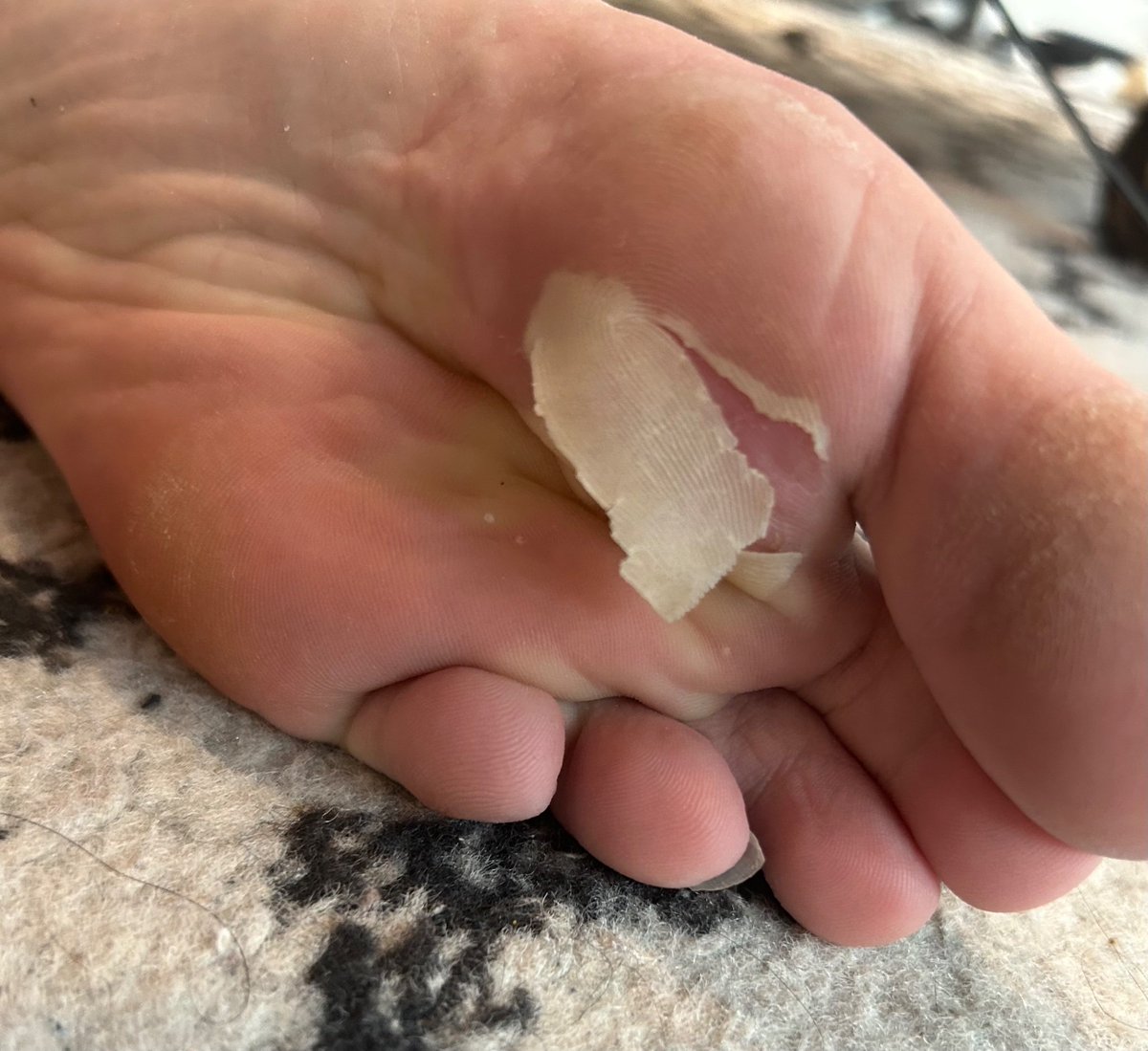 Xand - SFAWTDE SPOILERS tweet media