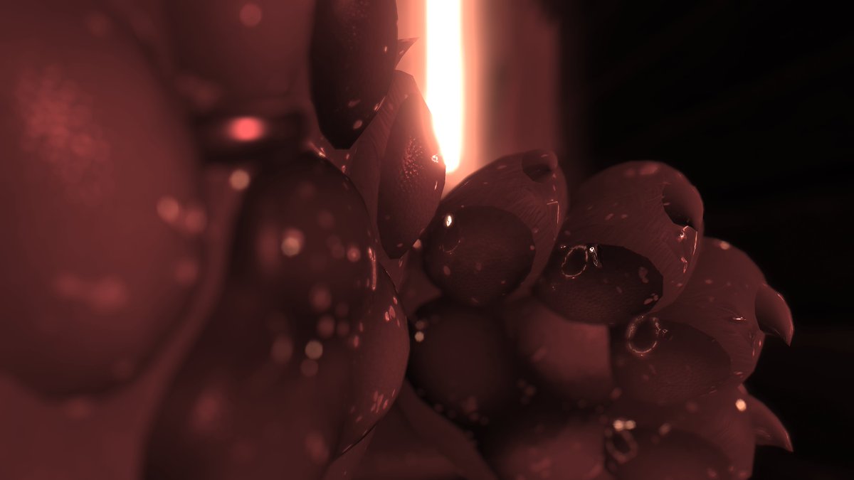 Puuravis tweet media