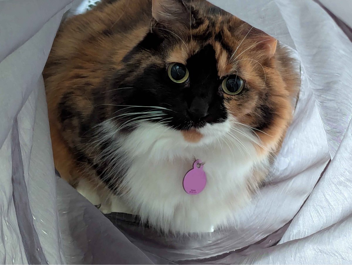 Mantacraft Studios tweet media