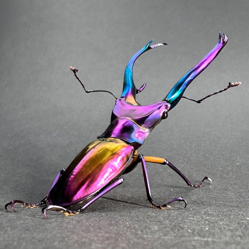 🏴‍☠️89WA【HAKUWA】🏴‍☠️ tweet media