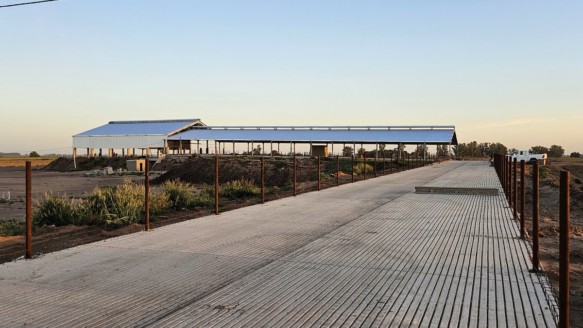 Tomas gortari tweet media