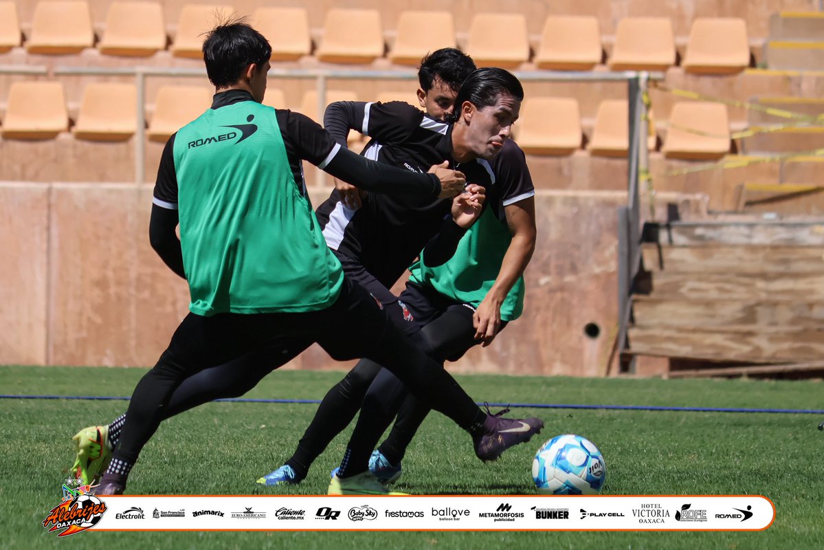 Alebrijes Oaxaca tweet media