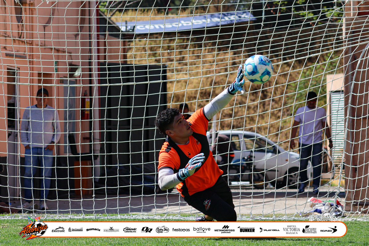 Alebrijes Oaxaca tweet media