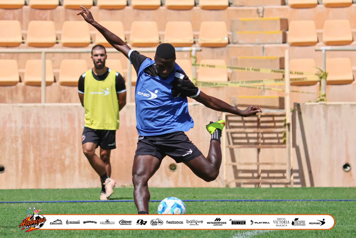 Alebrijes Oaxaca tweet media