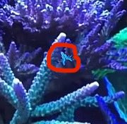 hejikhejikhejik's tweet image. insanity is an ultrakill fan #ffdno