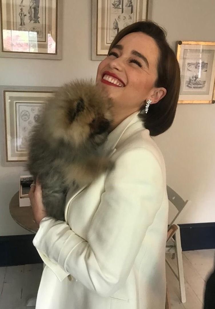 ʜᴀᴄʜɪ 🐾 tweet media