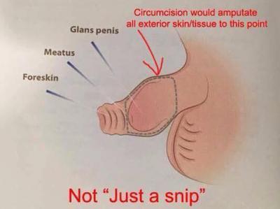 DnnyBen35 tweet media