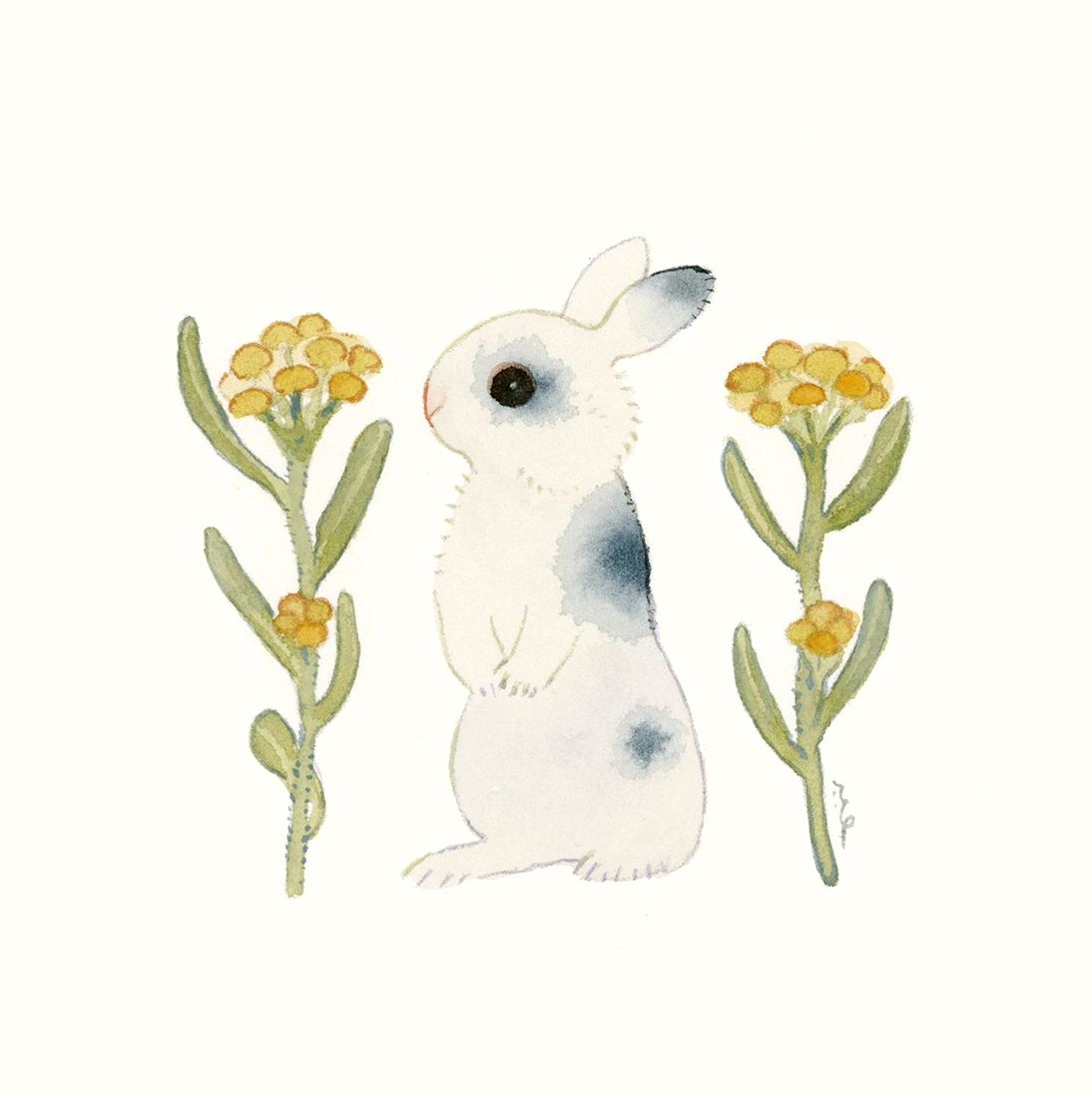 こまちみゆた tweet media