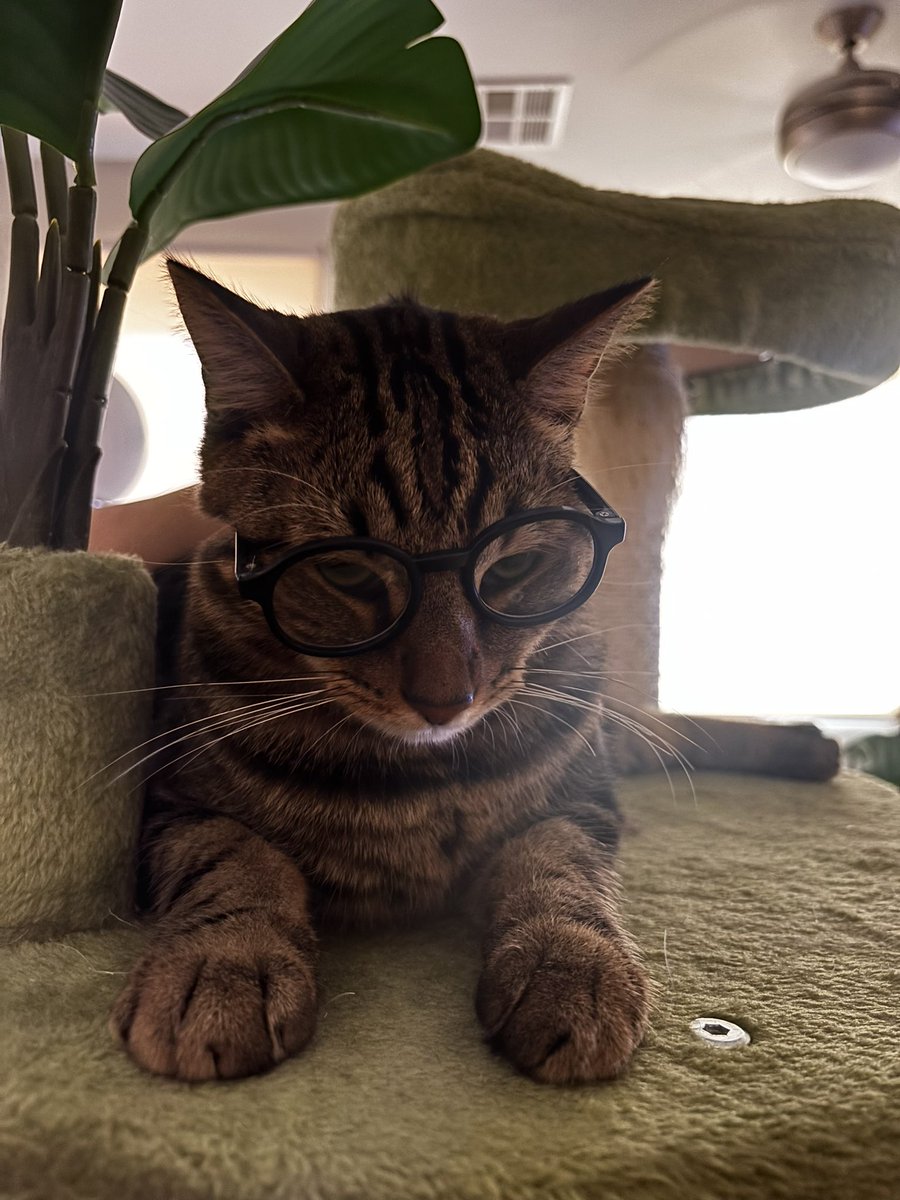 jessi ★ tweet media