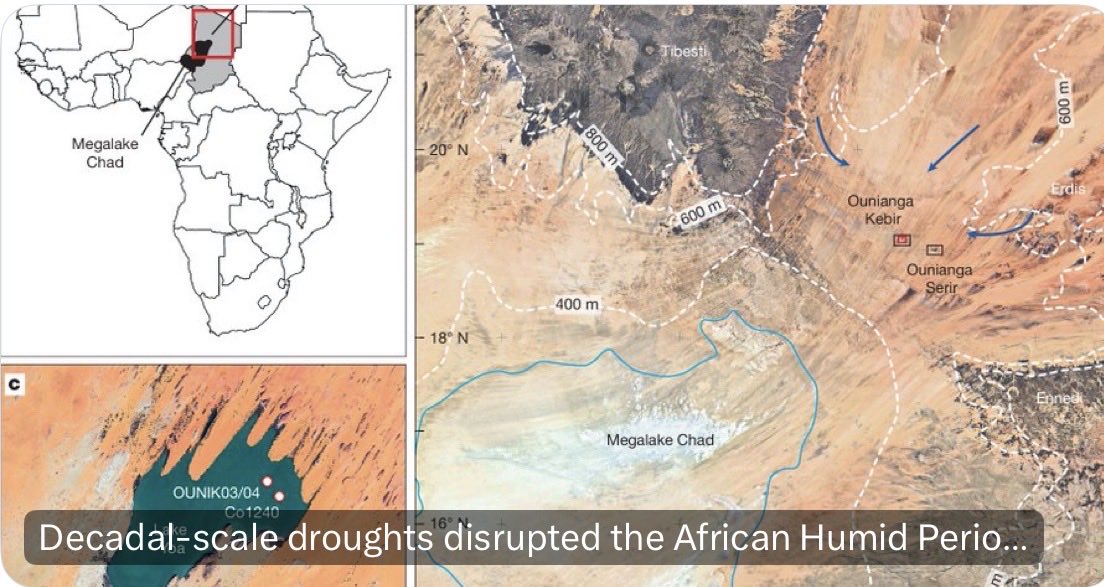 Bernadette Arnaud tweet media