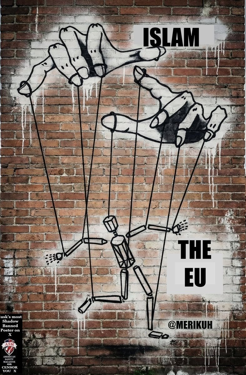 AmericanSanityMagazine tweet media