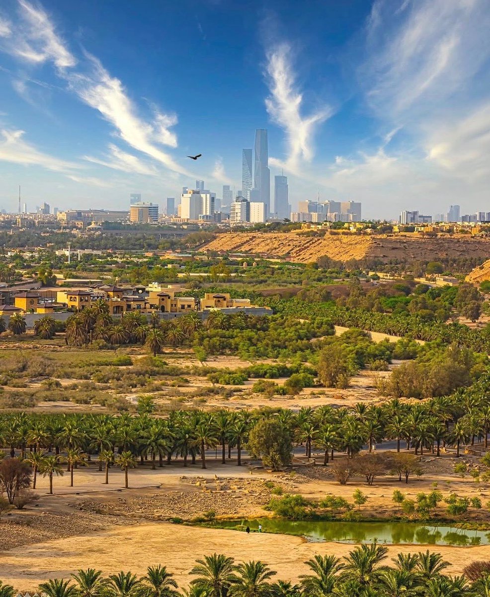 محور الكون🇸🇦 tweet media