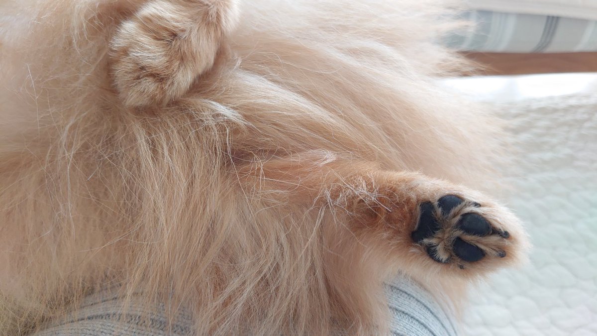 なも🐬 tweet media