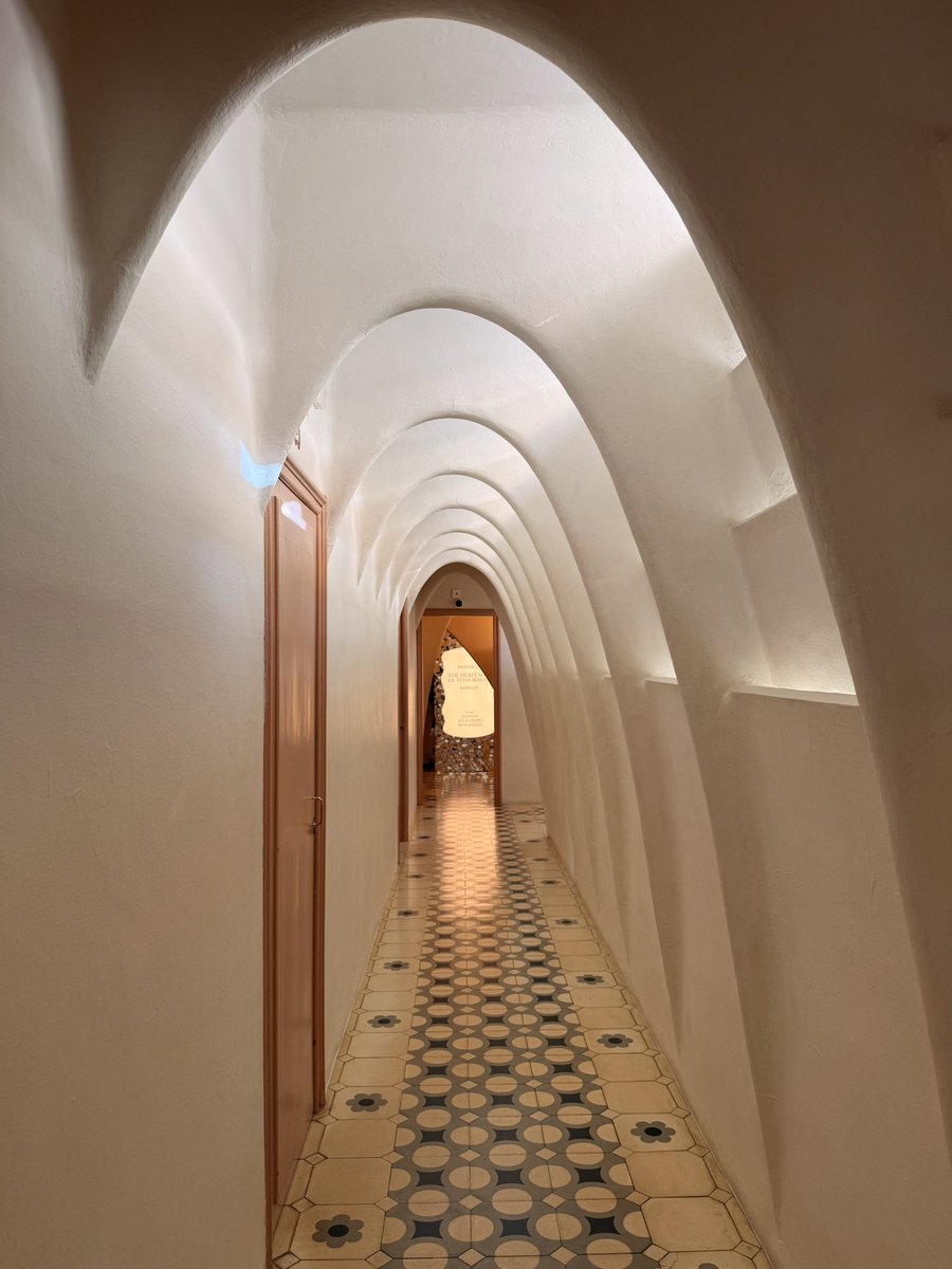 Olivia.S.Mitchell tweet media