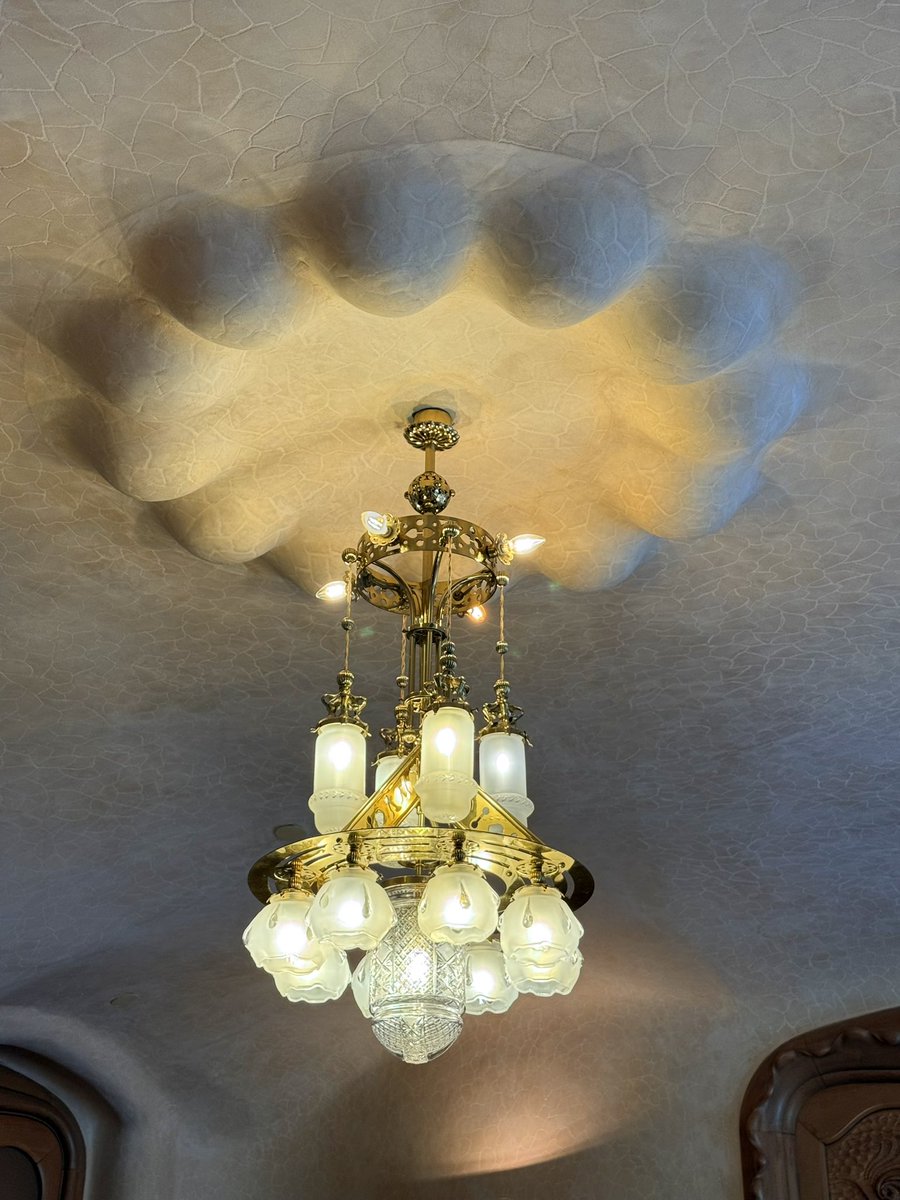 Olivia.S.Mitchell tweet media