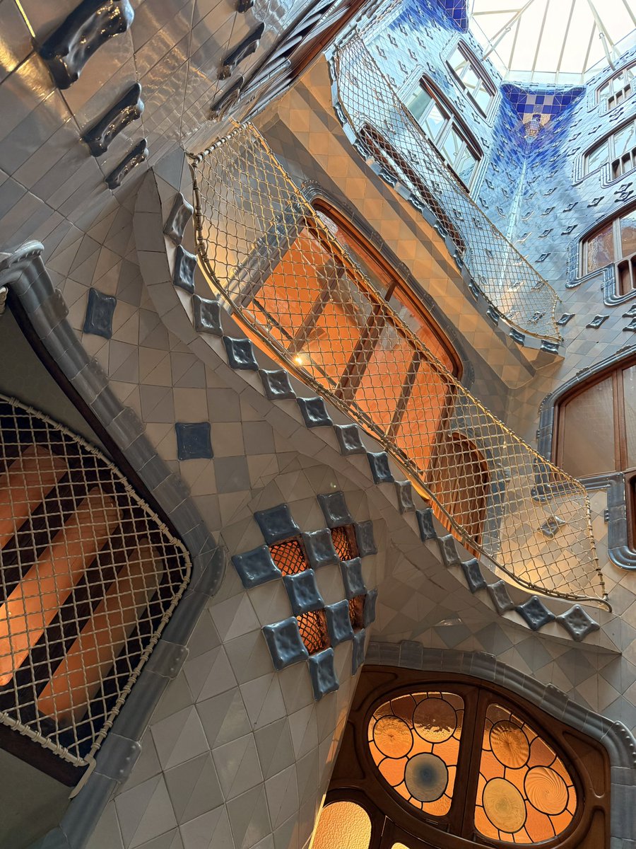 Olivia.S.Mitchell tweet media