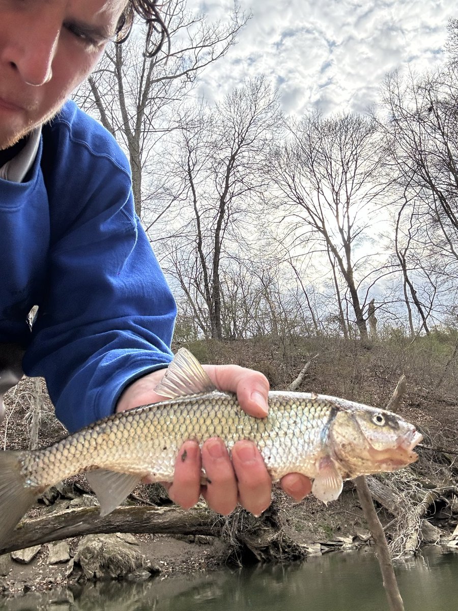 hendy_connor's tweet photo. #greatfeathersflyshop https://t.co/eJZj6lDfae