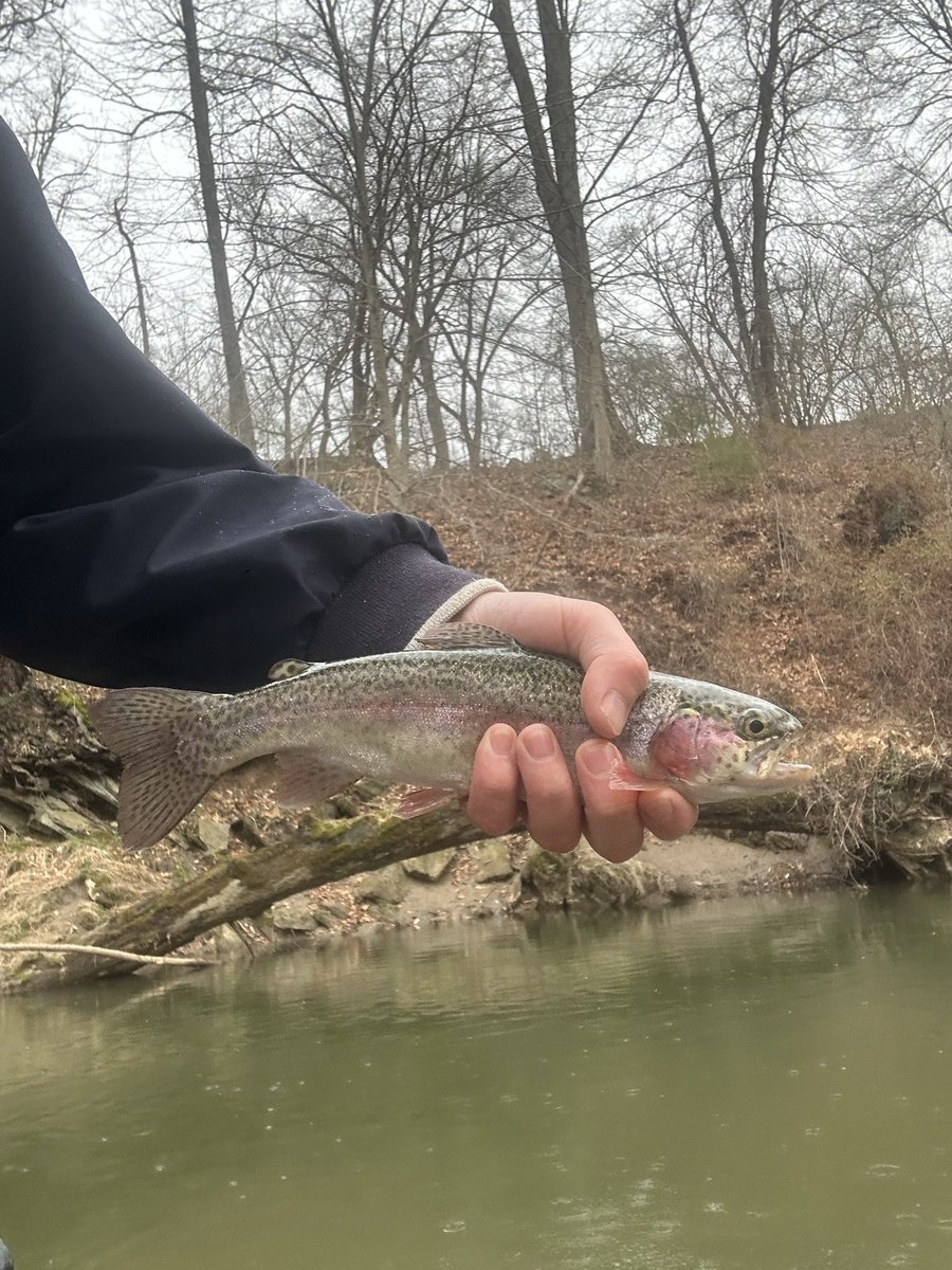 hendy_connor's tweet photo. #greatfeathersflyshop https://t.co/eJZj6lDfae