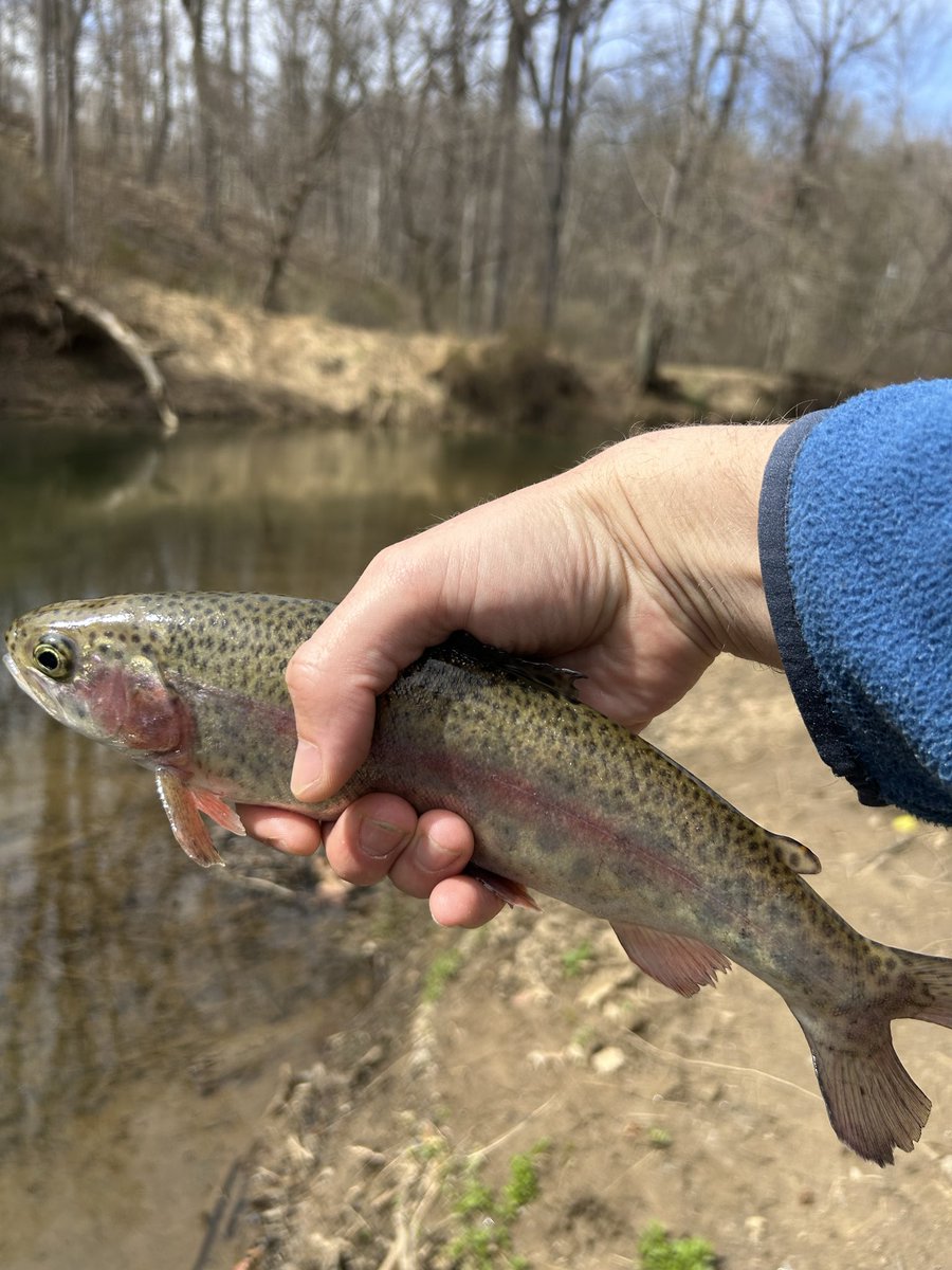hendy_connor's tweet photo. Good lil outing #greatfeathersflyshop https://t.co/JB5VoZI62W