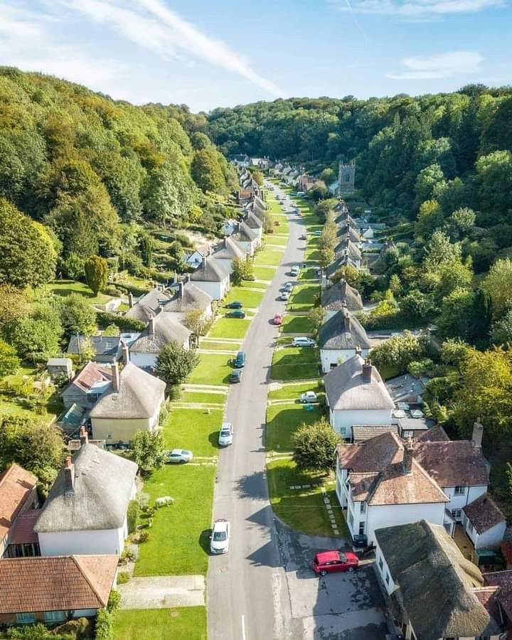 Beauty of Nature 🥀 tweet media