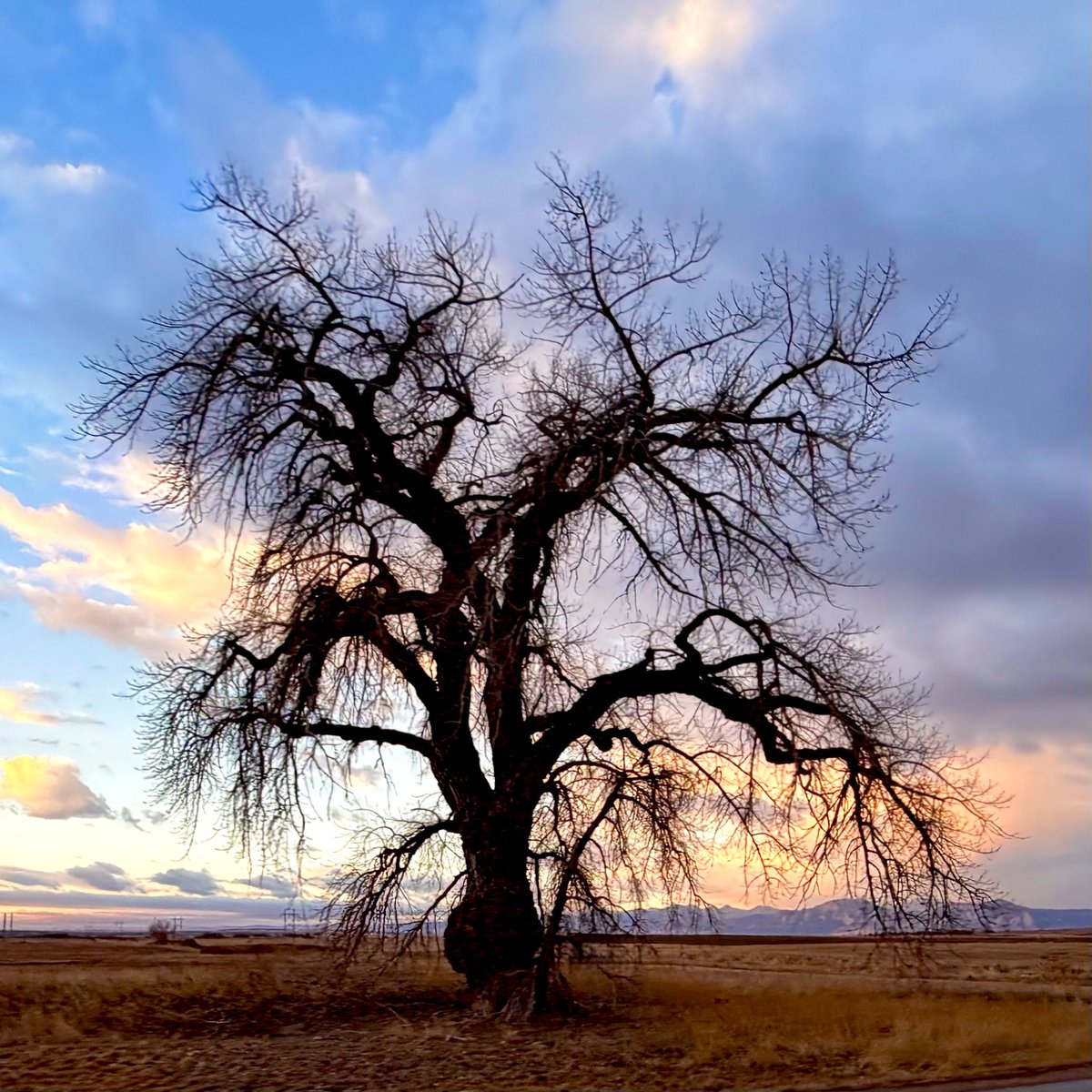 D Miller tweet media