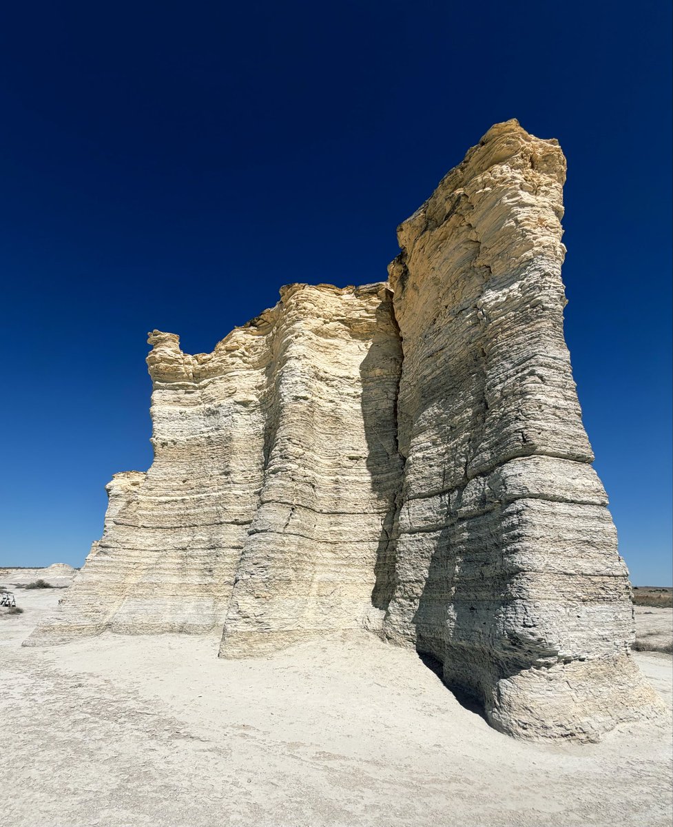 D Miller tweet media