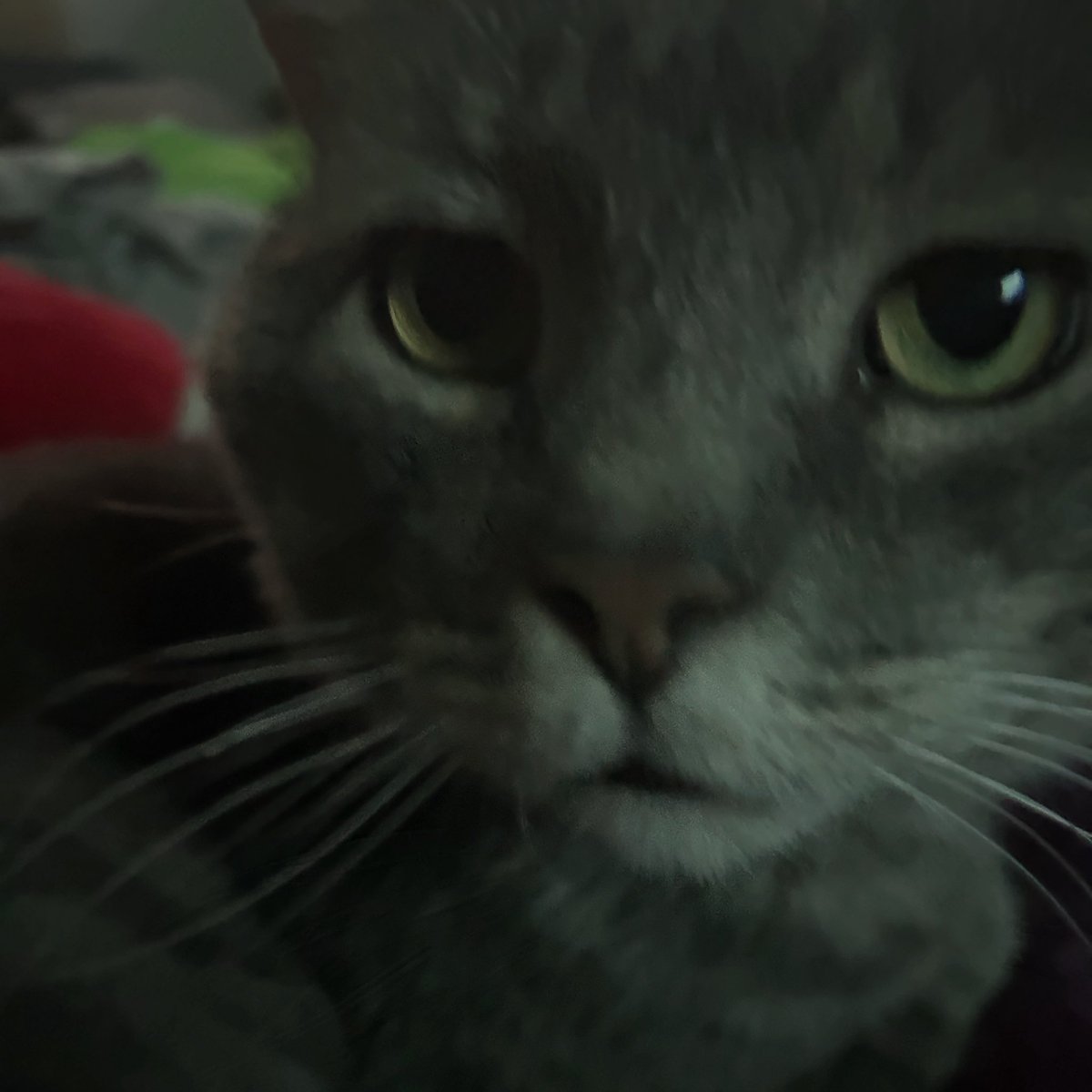 amora ♠ tweet media