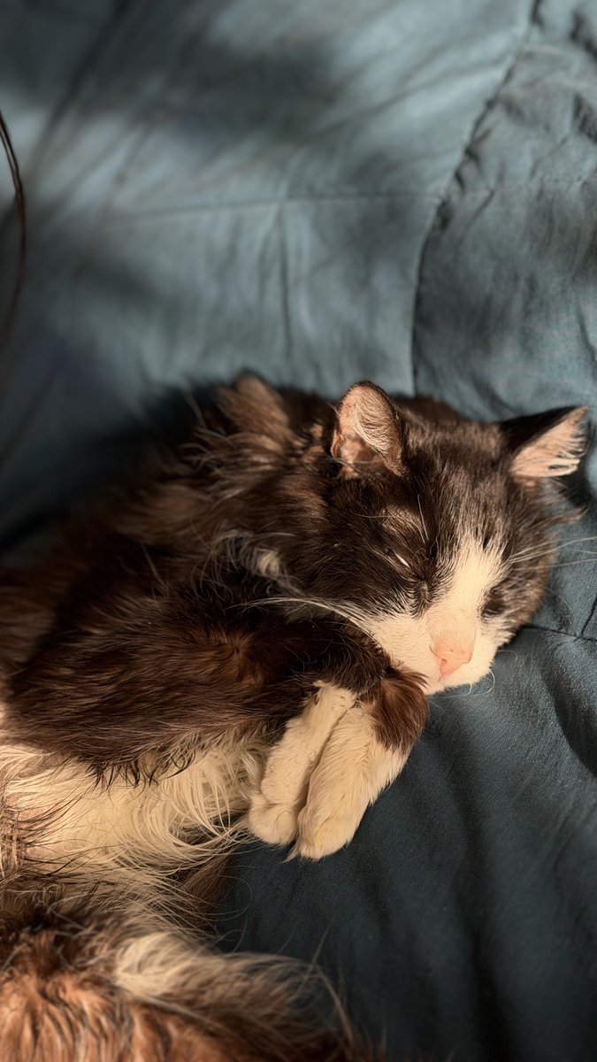 Вера tweet media