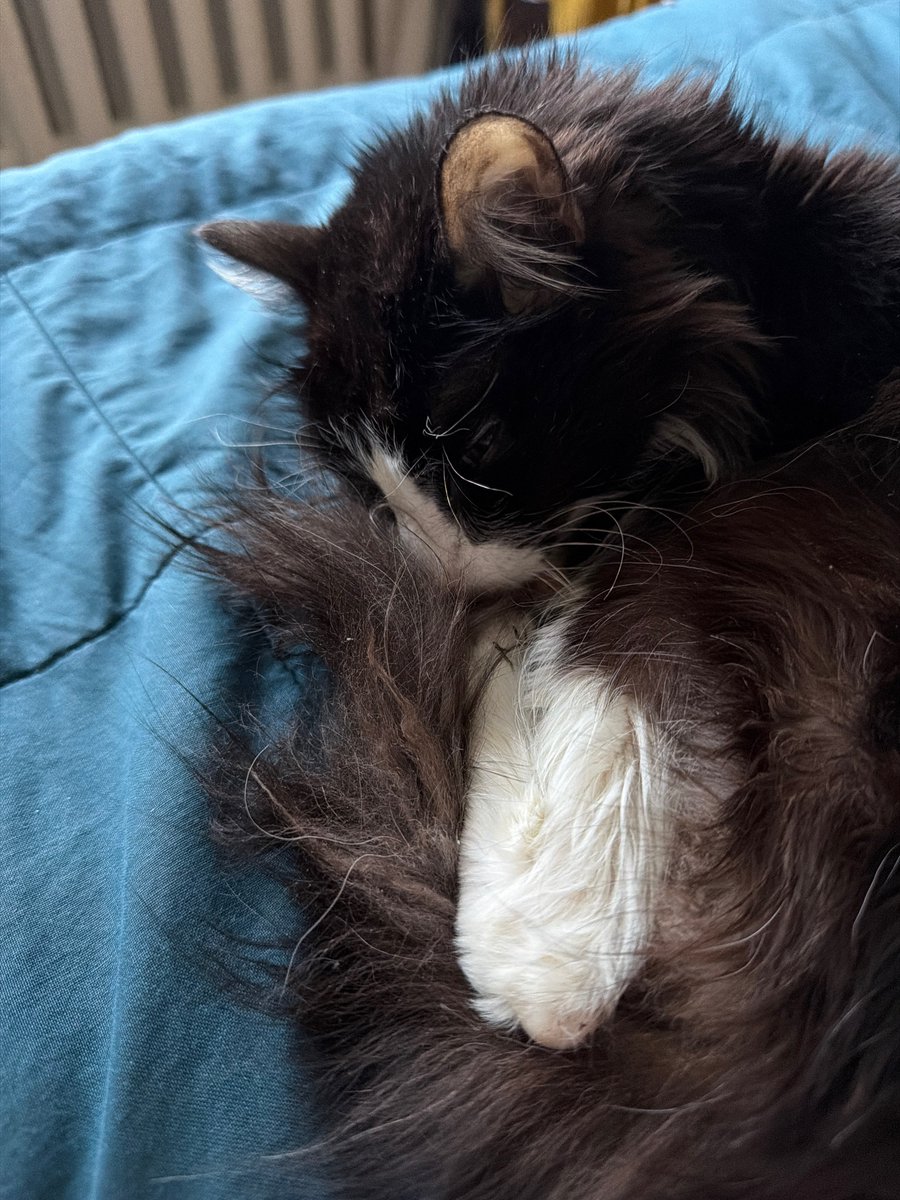 Вера tweet media