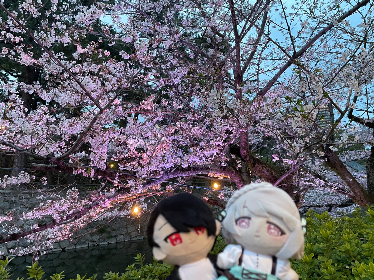 おはようございます☀
昨日の配信来てくれた方ありがとうございました✨
今更スプ2初プレイでした😂

今日から4月！
アイコンも4月仕様です🌸

今月から姫は小学生🥹
環境がかわるので配信時間もかわったりするかもですが今年度も仲良くしてくれると嬉しいです🤍